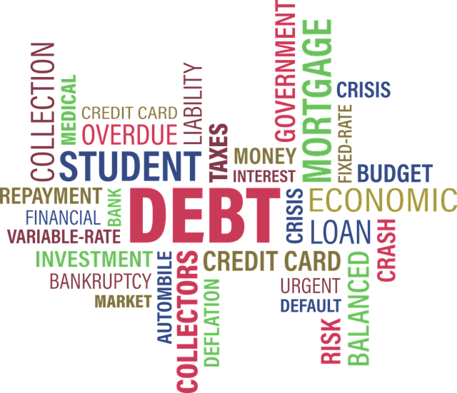 Debt and reasons